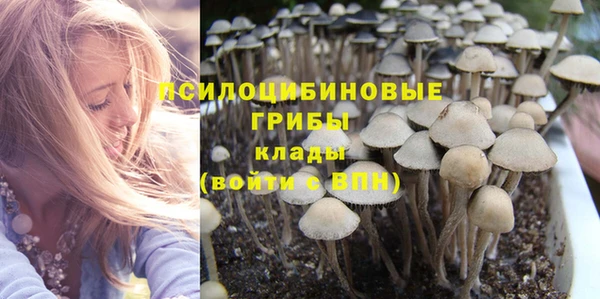 ECSTASY Богородицк