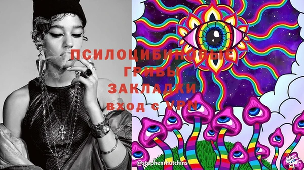 ECSTASY Богородицк