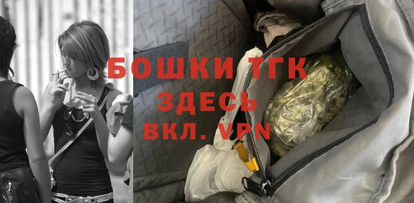 ECSTASY Богородицк