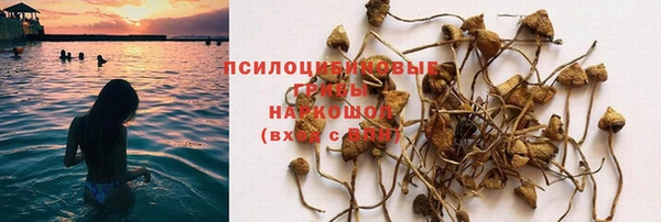 ECSTASY Богородицк